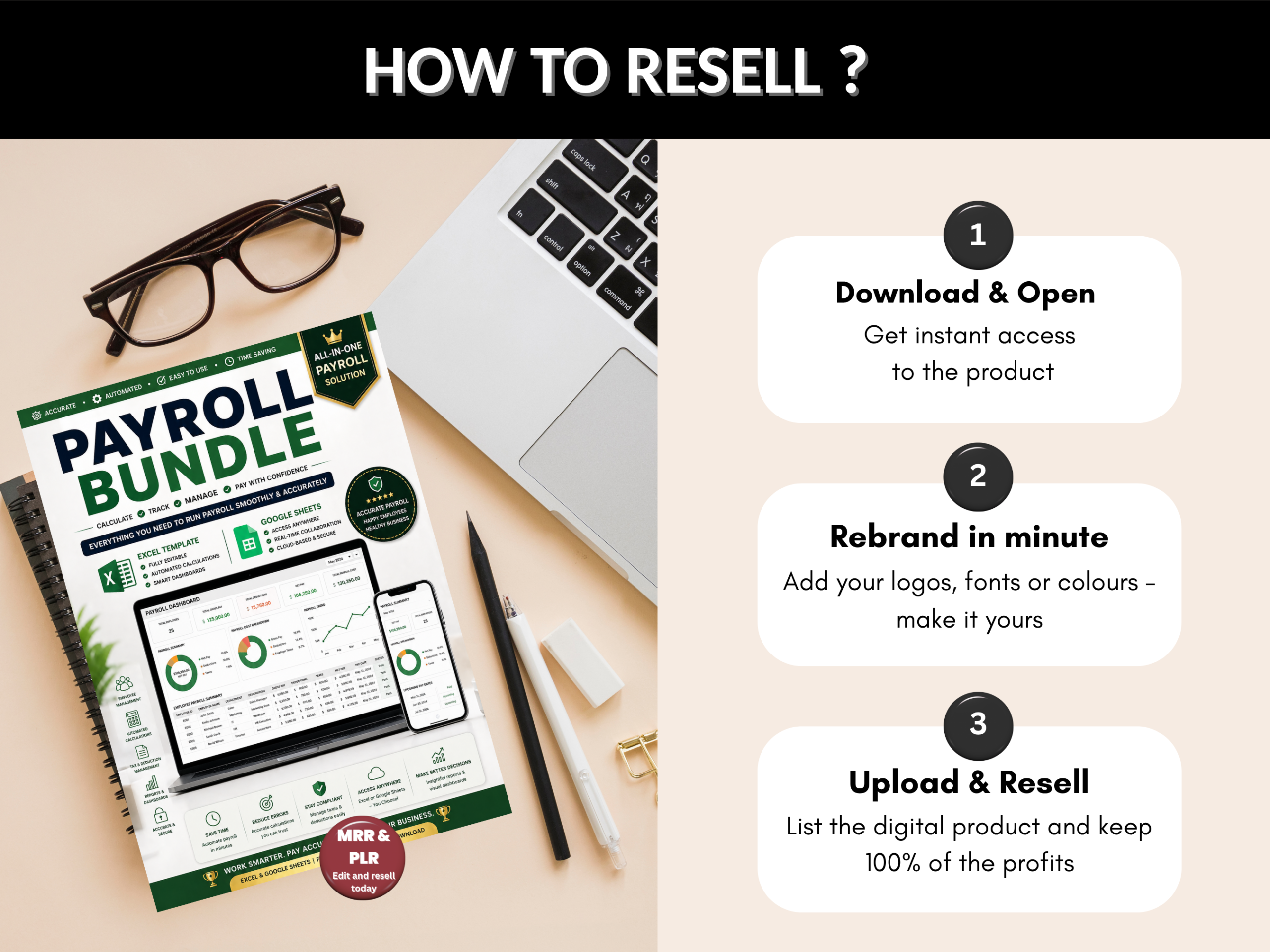 Payroll bundle | Excel templates & Google sheets | Payroll template, tracker, management, budget, check, Payslip templates | PLR MRR rights
