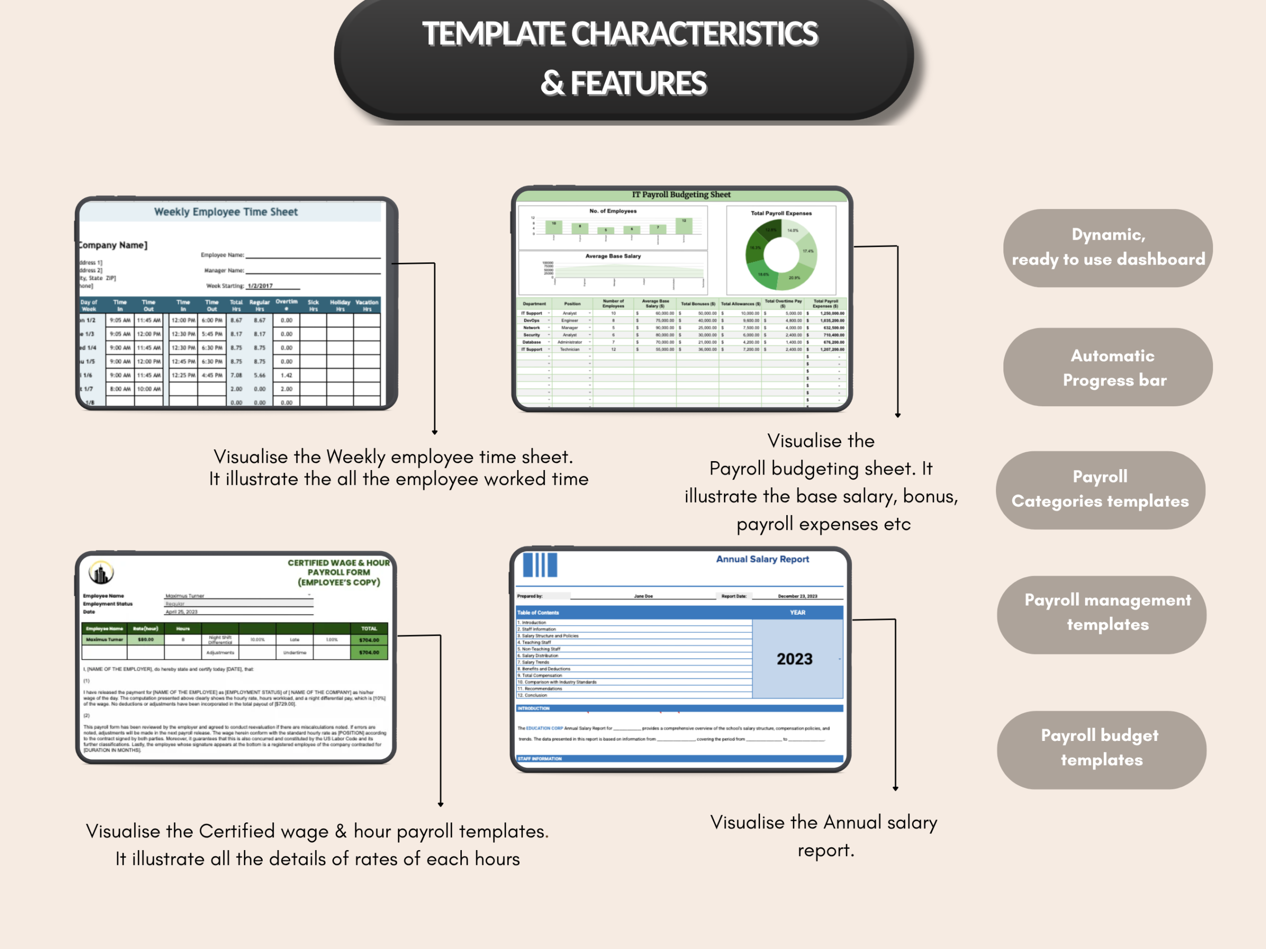 Payroll bundle | Excel templates & Google sheets | Payroll template, tracker, management, budget, check, Payslip templates | PLR MRR rights